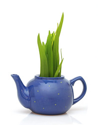 Similar image 2838307