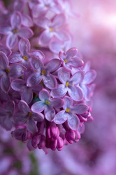 Similar image 2838702