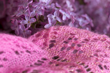 Similar image 2838703