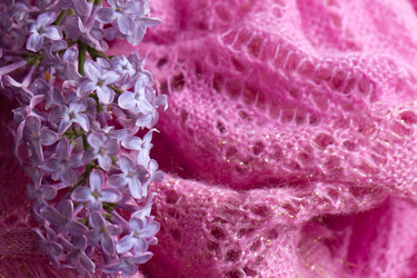 Similar image 2838704