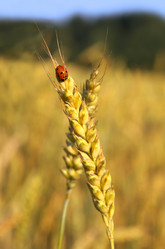 Similar image 2838798