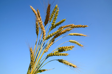 Similar image 2838801