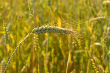 Similar image 2838803