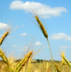 Similar image 2838804