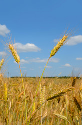 Similar image 2838810