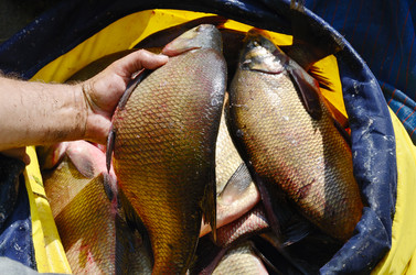 Similar image 2838815