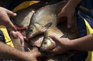 Similar image 2838818