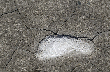 Similar image 2838826