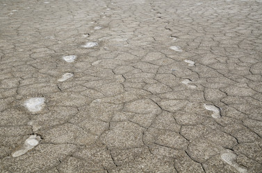 Similar image 2838827