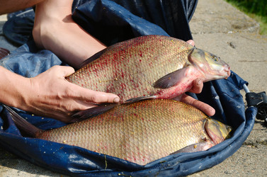 Similar image 2838830