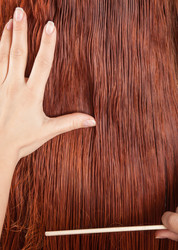 Similar image 2838904