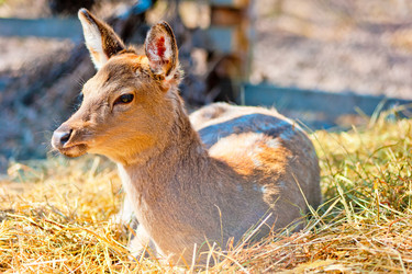 Similar image 2838990