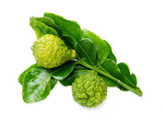 Similar image 2839066