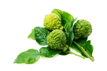 Similar image 2839067