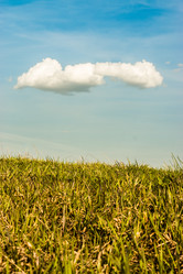 Similar image 2839176