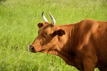 Similar image 2839177