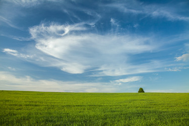 Similar image 2839202