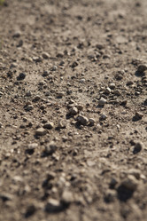 Similar image 2839214