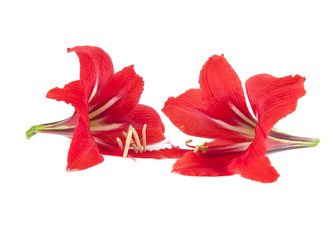 Similar image 2839216