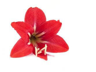 Similar image 2839217