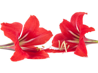 Similar image 2839218