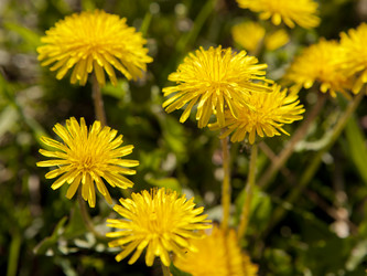 Similar image 2839230