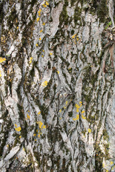 Similar image 2839232