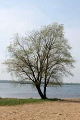 Similar image 2839236