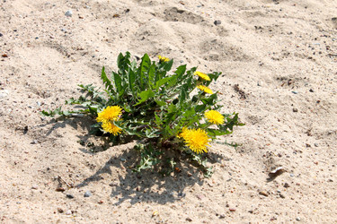 Similar image 2839237