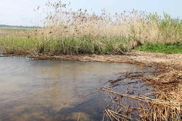 Similar image 2839239