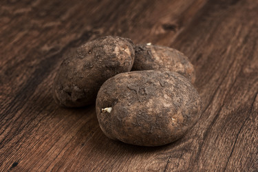 Similar image 2839265