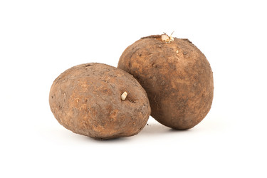 Similar image 2839266