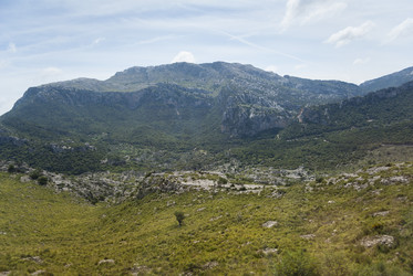 Similar image 2839274