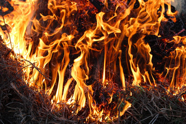 Similar image 2839376