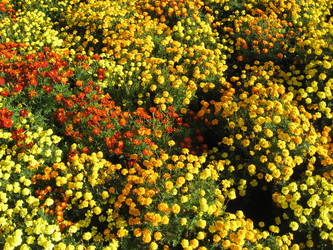 Similar image 2839379