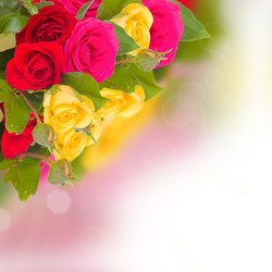 Similar image 2839380