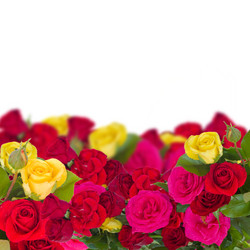 Similar image 2839391