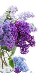 Similar image 2839393