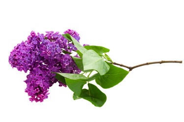 Similar image 2839401