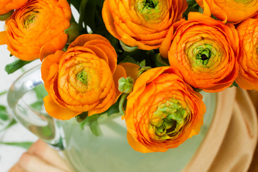 Similar image 2839403