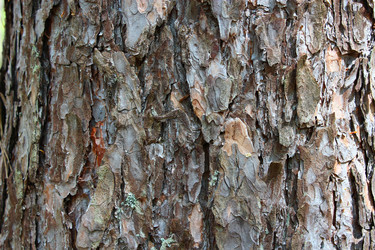 Similar image 2839640