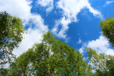 Similar image 2839642