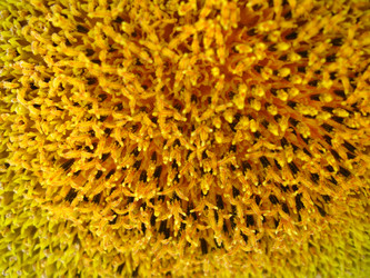 Similar image 2839643