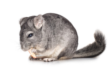 Similar image 2839664