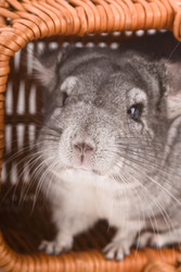 Similar image 2839668