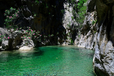 Similar image 2839670