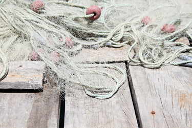 Similar image 2839721