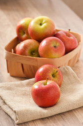 Similar image 2840215