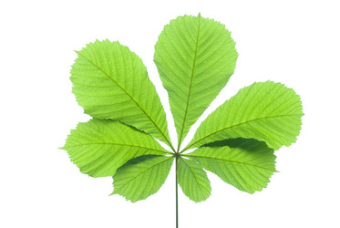 Similar image 2840251