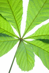 Similar image 2840252